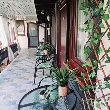 Pensiunea Red Rose Apartments Timişoara Extérieur photo