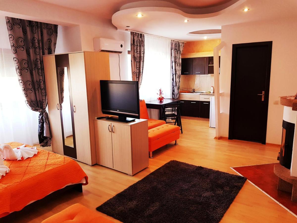 Pensiunea Red Rose Apartments Timişoara Extérieur photo