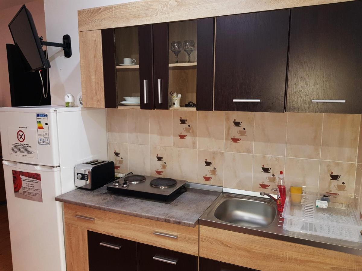 Pensiunea Red Rose Apartments Timişoara Extérieur photo