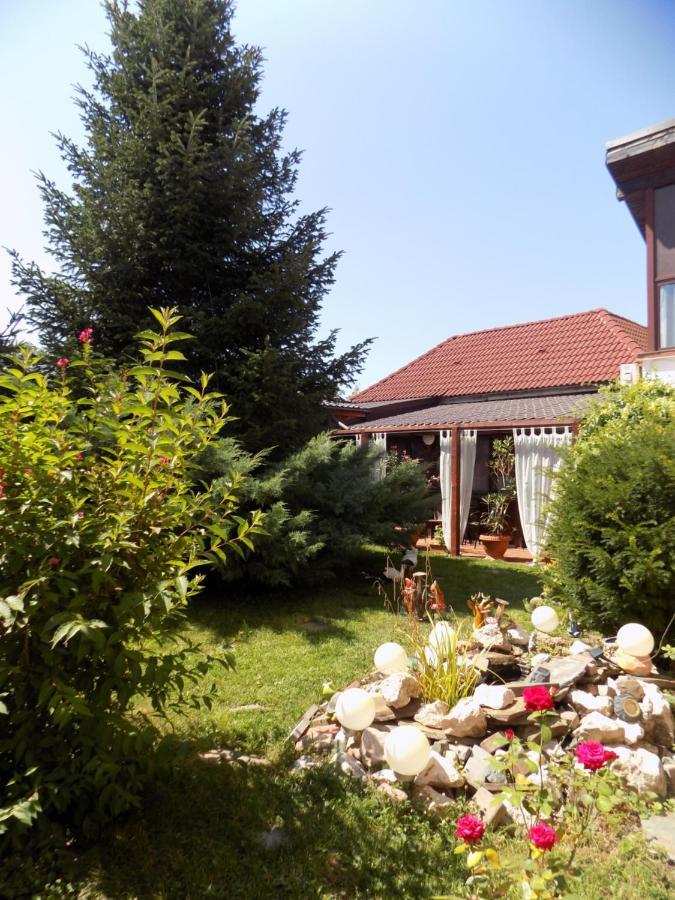 Pensiunea Red Rose Apartments Timişoara Extérieur photo