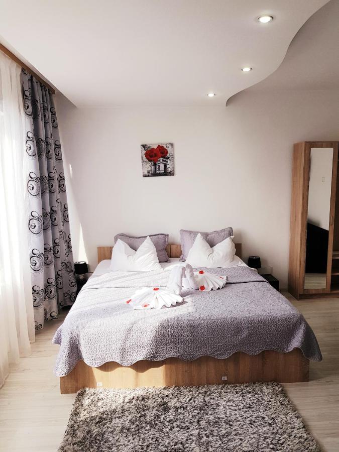 Pensiunea Red Rose Apartments Timişoara Extérieur photo