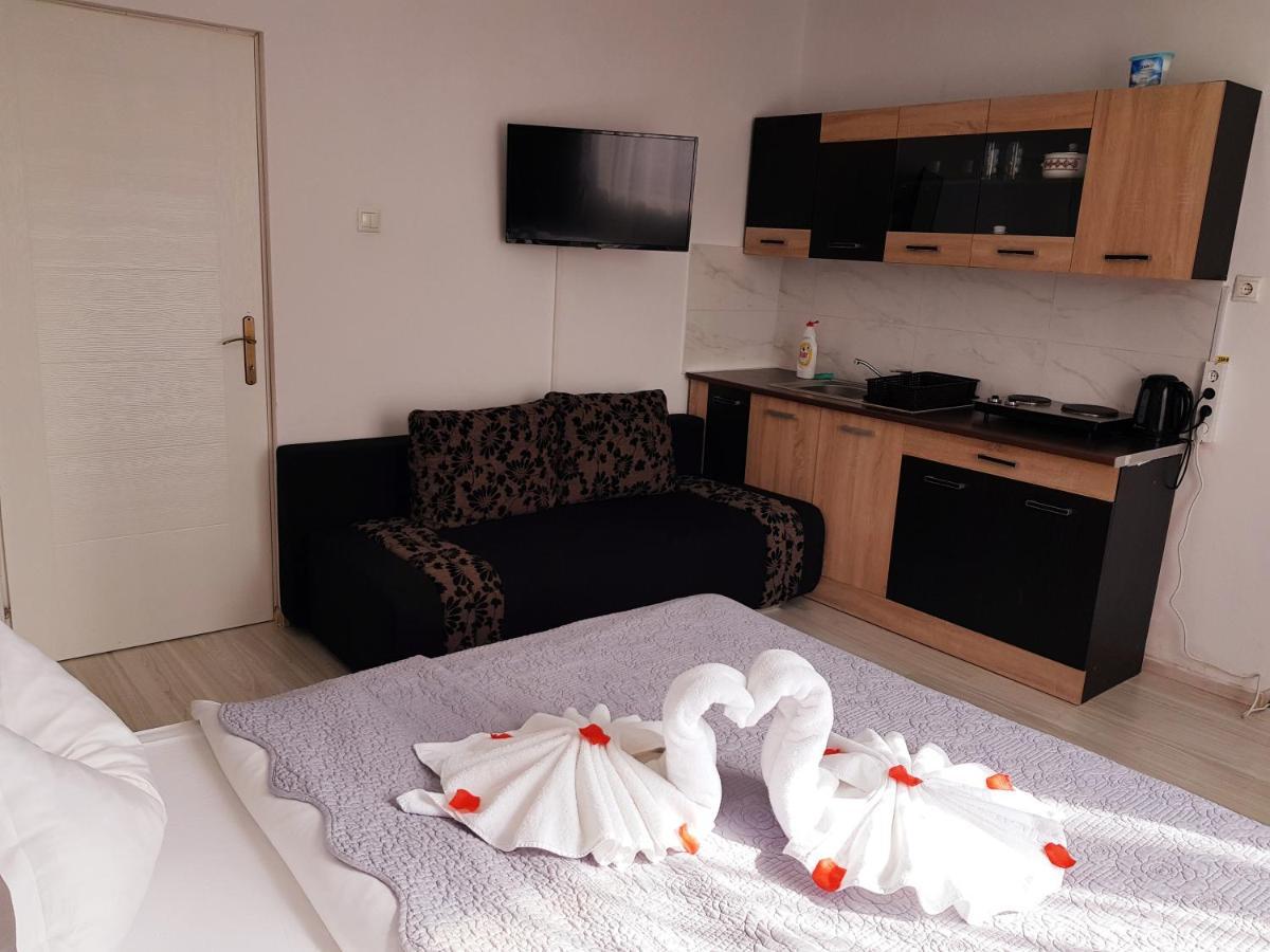 Pensiunea Red Rose Apartments Timişoara Extérieur photo