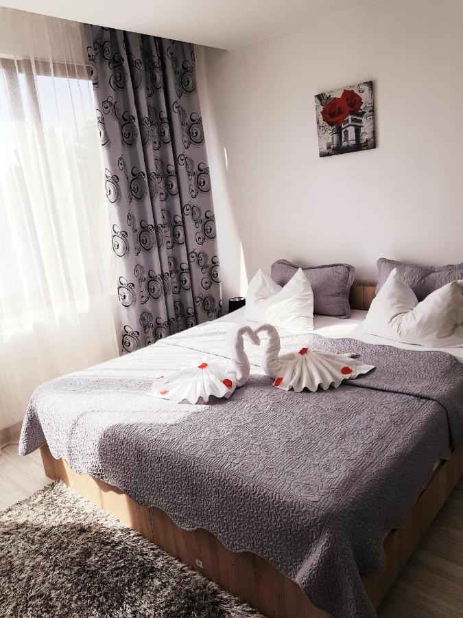 Pensiunea Red Rose Apartments Timişoara Extérieur photo