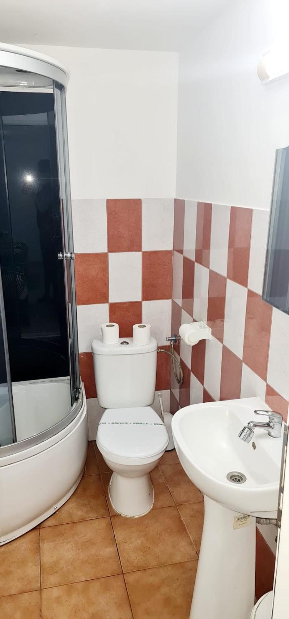 Pensiunea Red Rose Apartments Timişoara Extérieur photo