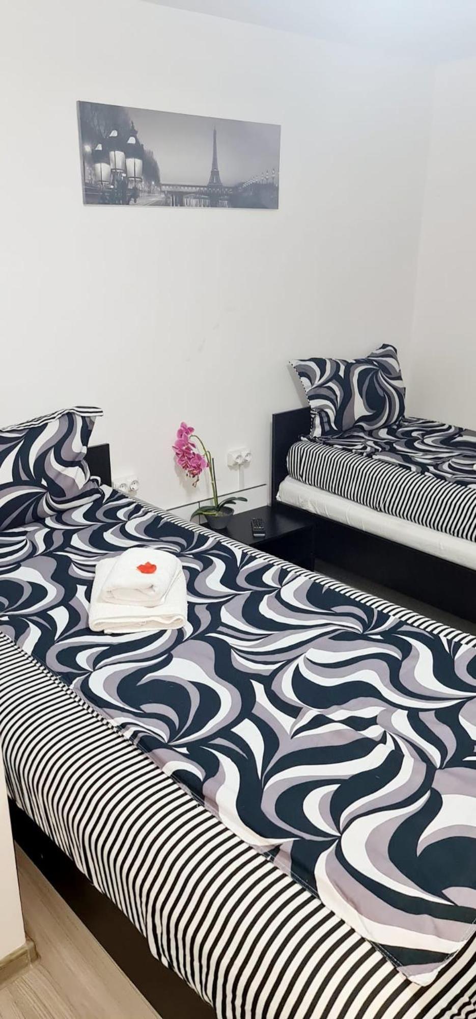 Pensiunea Red Rose Apartments Timişoara Extérieur photo
