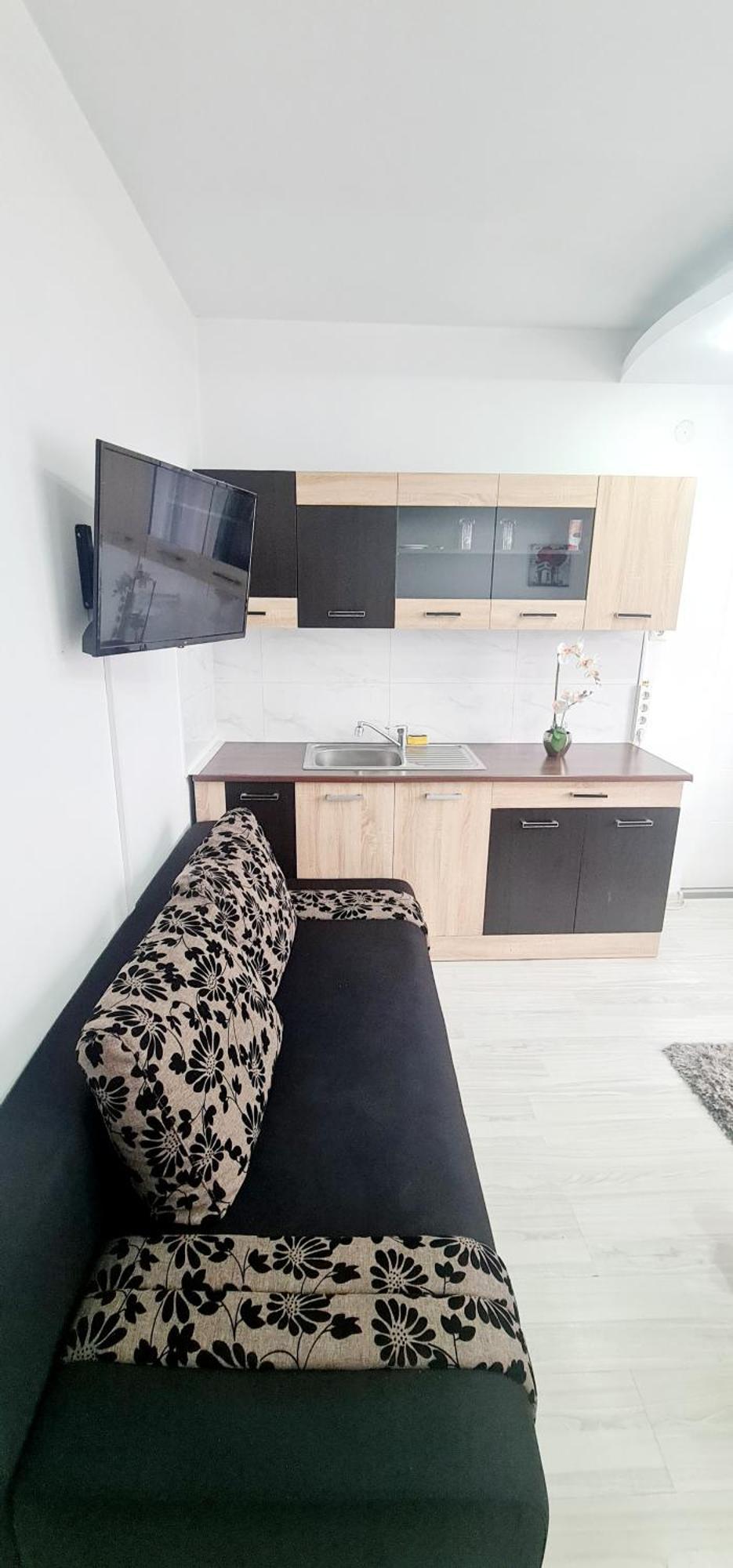 Pensiunea Red Rose Apartments Timişoara Extérieur photo