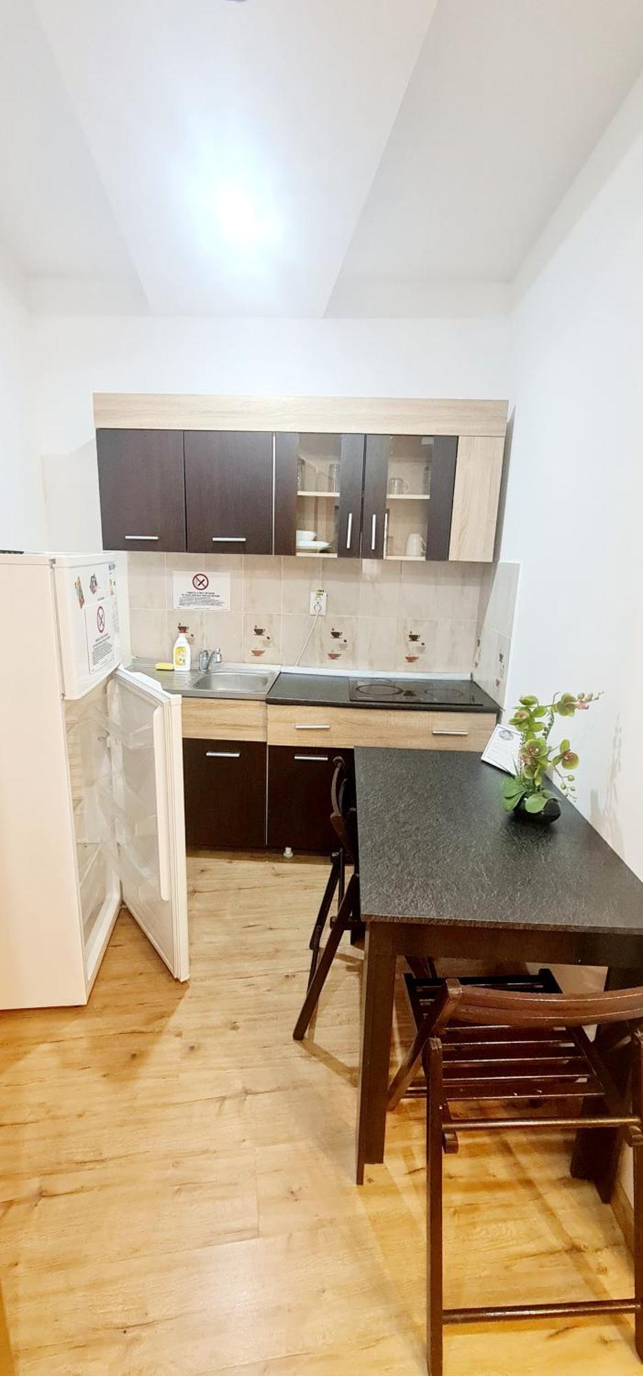 Pensiunea Red Rose Apartments Timişoara Extérieur photo