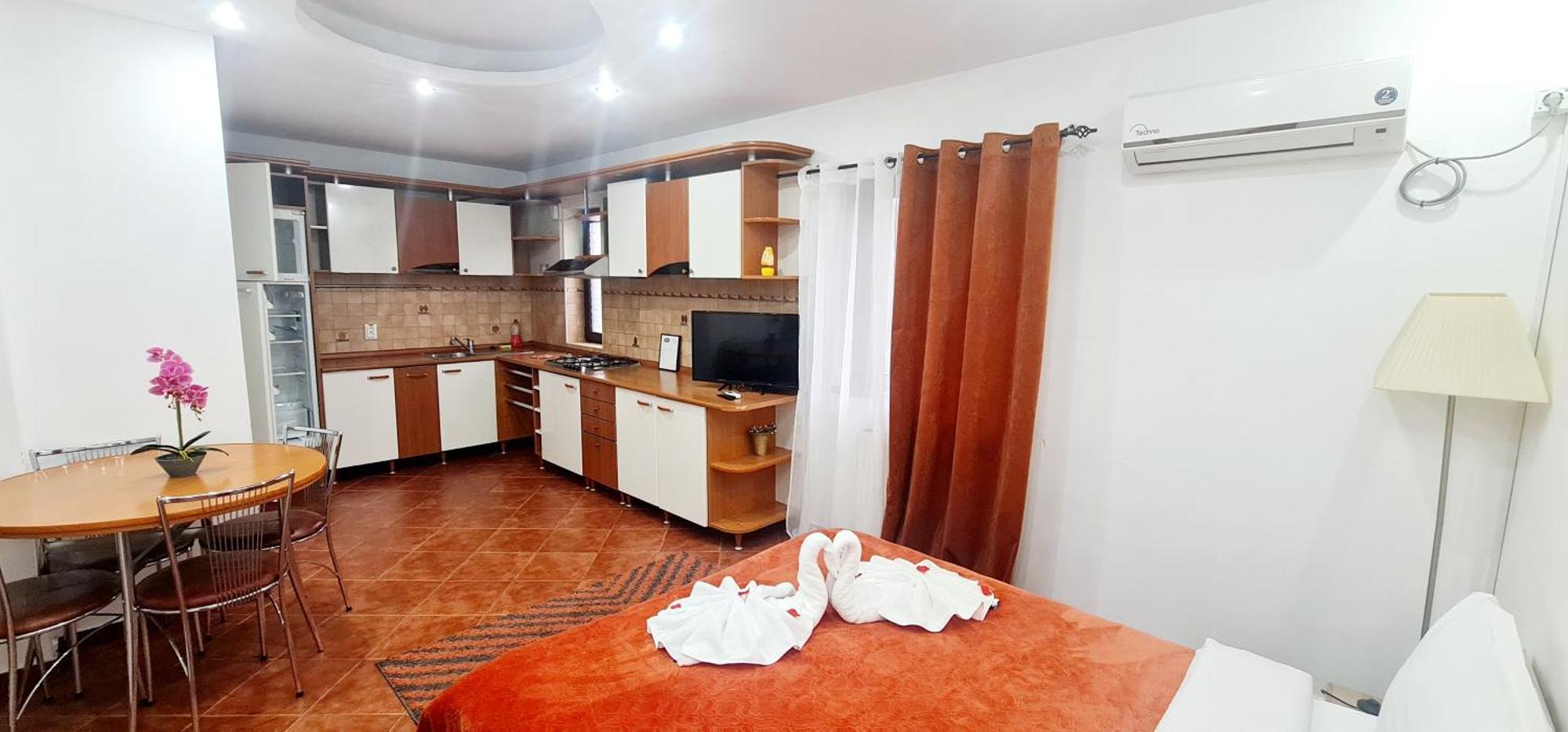 Pensiunea Red Rose Apartments Timişoara Extérieur photo