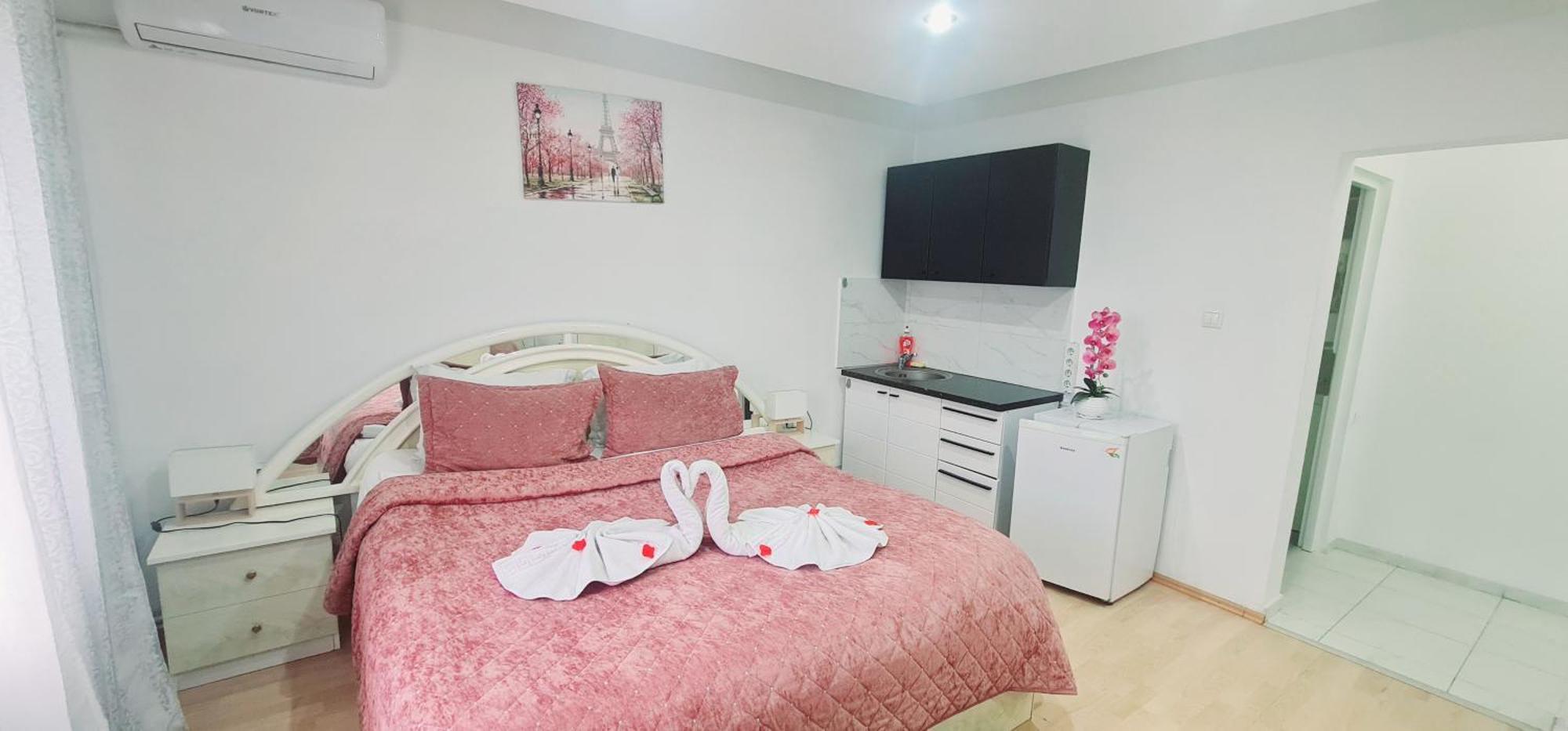 Pensiunea Red Rose Apartments Timişoara Extérieur photo