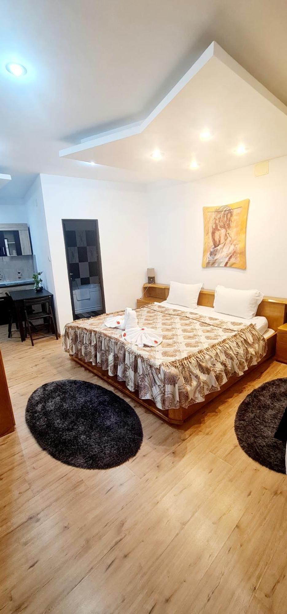 Pensiunea Red Rose Apartments Timişoara Extérieur photo