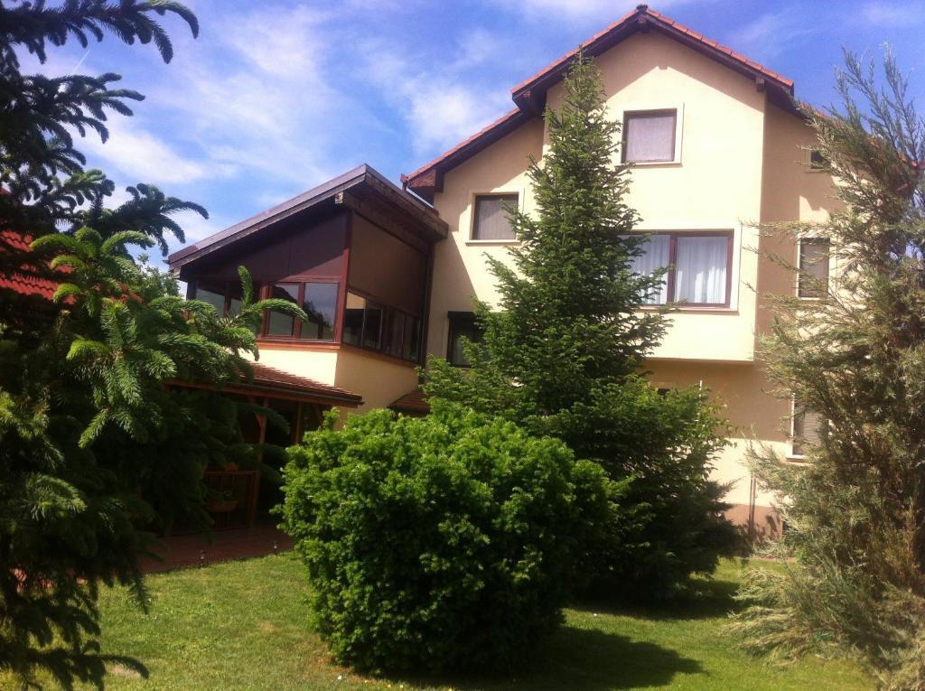 Pensiunea Red Rose Apartments Timişoara Extérieur photo